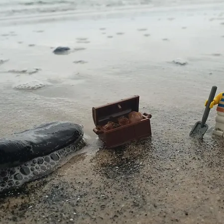 Tortuga * דאובקי