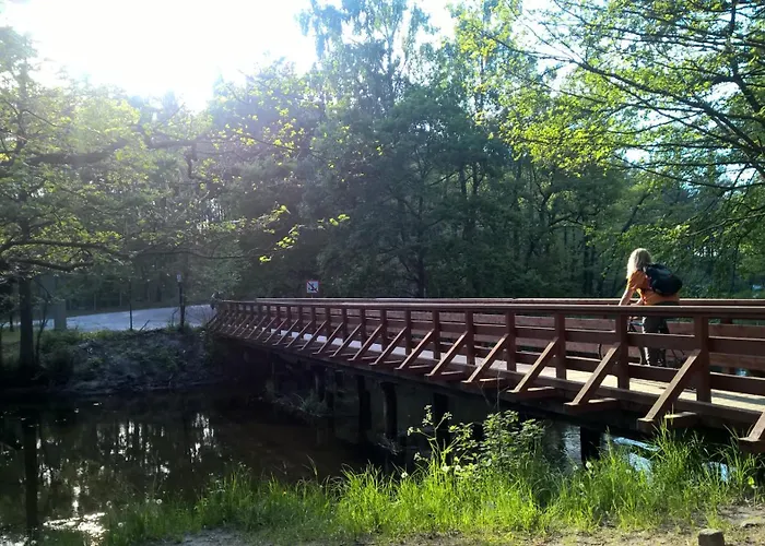 Дом отдыха Tortuga *