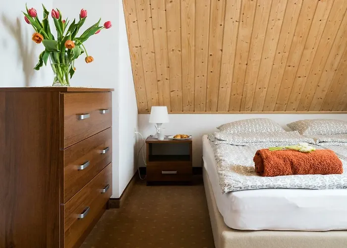 Tortuga Дом отдыха Дембки